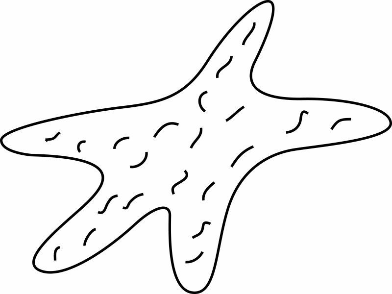 Etoile de mer 01 - motif à imprimer