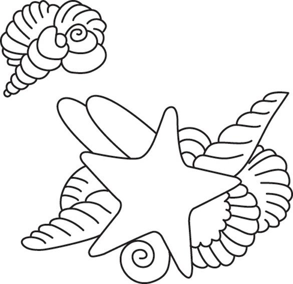 Etoile de mer 02 - motif à imprimer