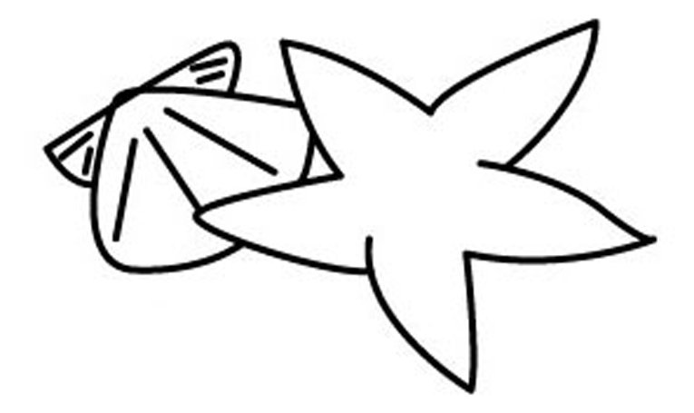 Etoile de mer 03 - motif à imprimer