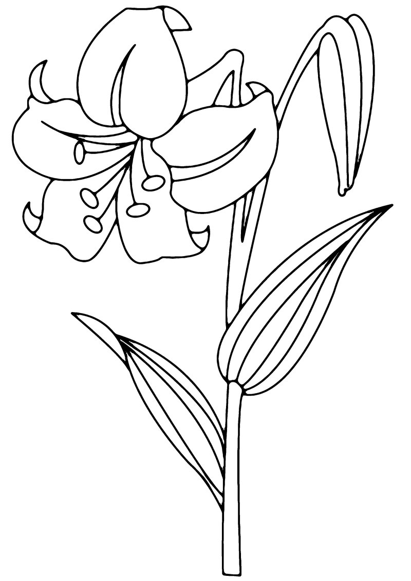 Fleur 003 - motif à imprimer