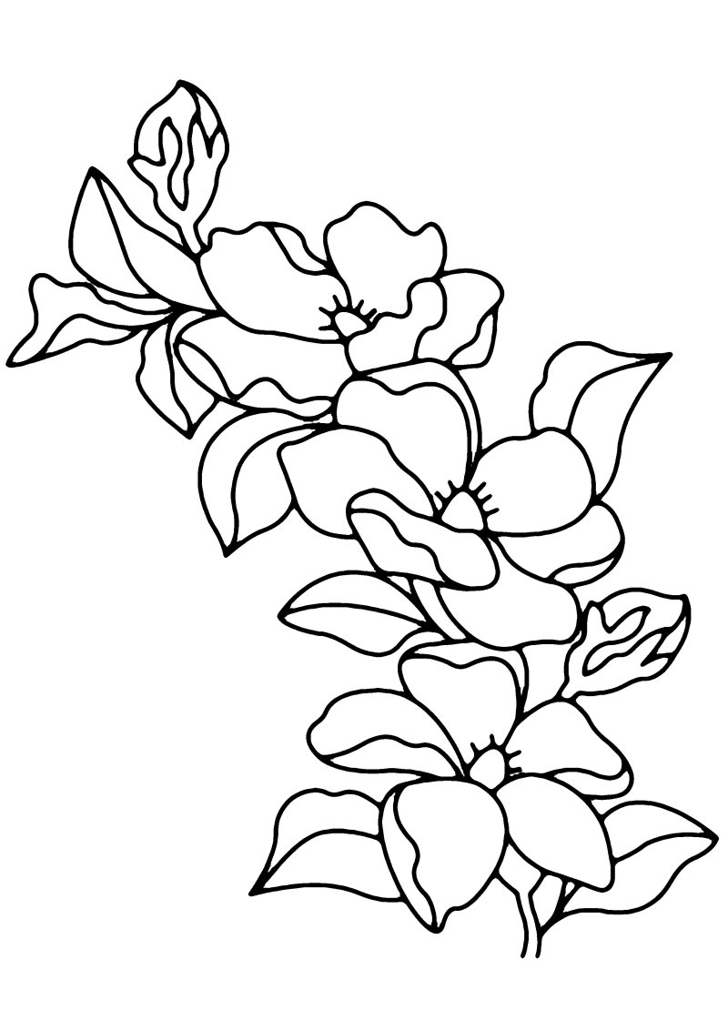 Fleurs 009 - motif à imprimer