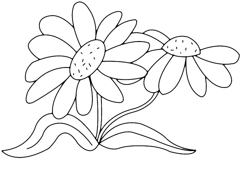 Fleurs 011 - motif à imprimer