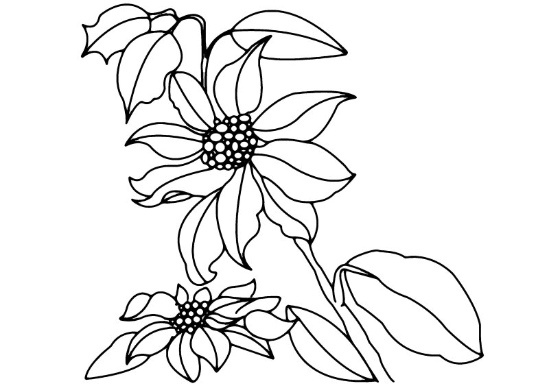 Fleurs 013 - motif à imprimer