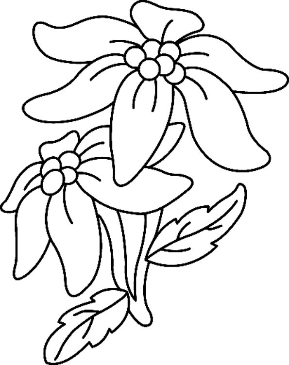 Fleurs 033 - motif à imprimer