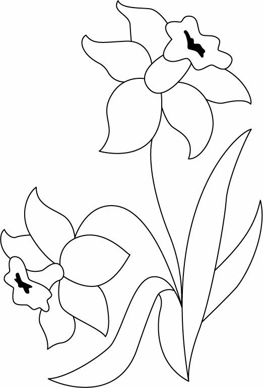 Fleurs 036 - motif à imprimer