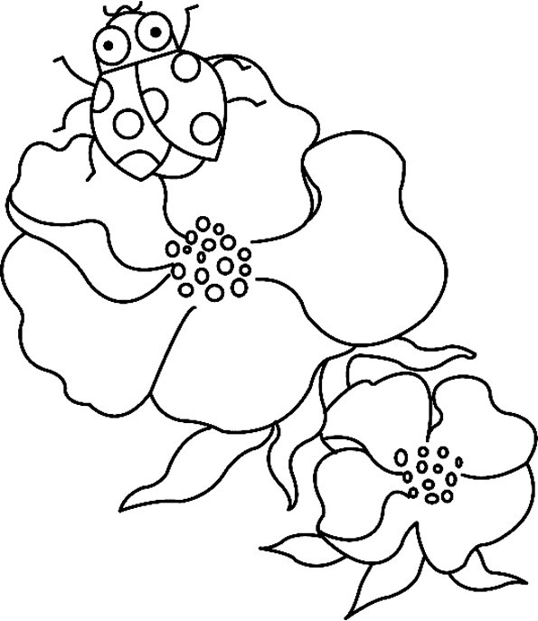 Fleurs et coccinelles 01 - motif à imprimer