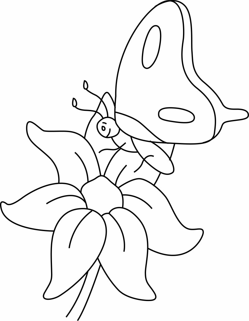 Fleurs et papillons 08 - motif à imprimer