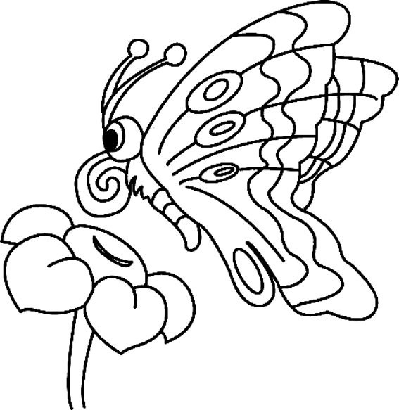 Fleurs et papillons 10 - motif à imprimer