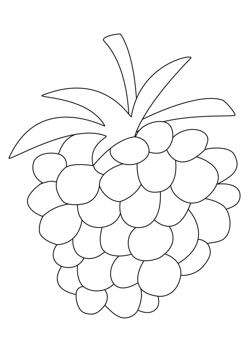 Framboise 01 - motif à imprimer