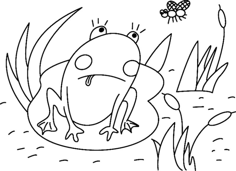 Grenouille 01 - motif à imprimer