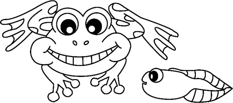Grenouille 04 - motif à imprimer