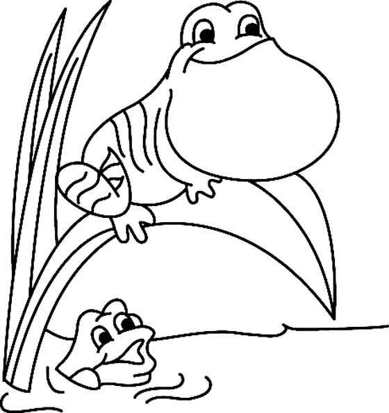 Grenouille 05 - motif à imprimer