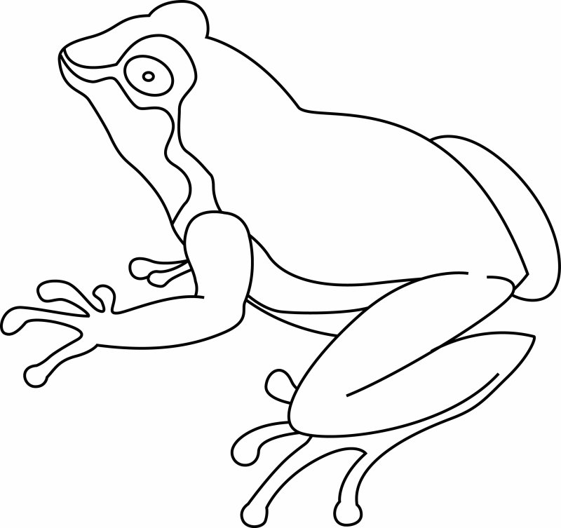 Grenouille 07 - motif à imprimer