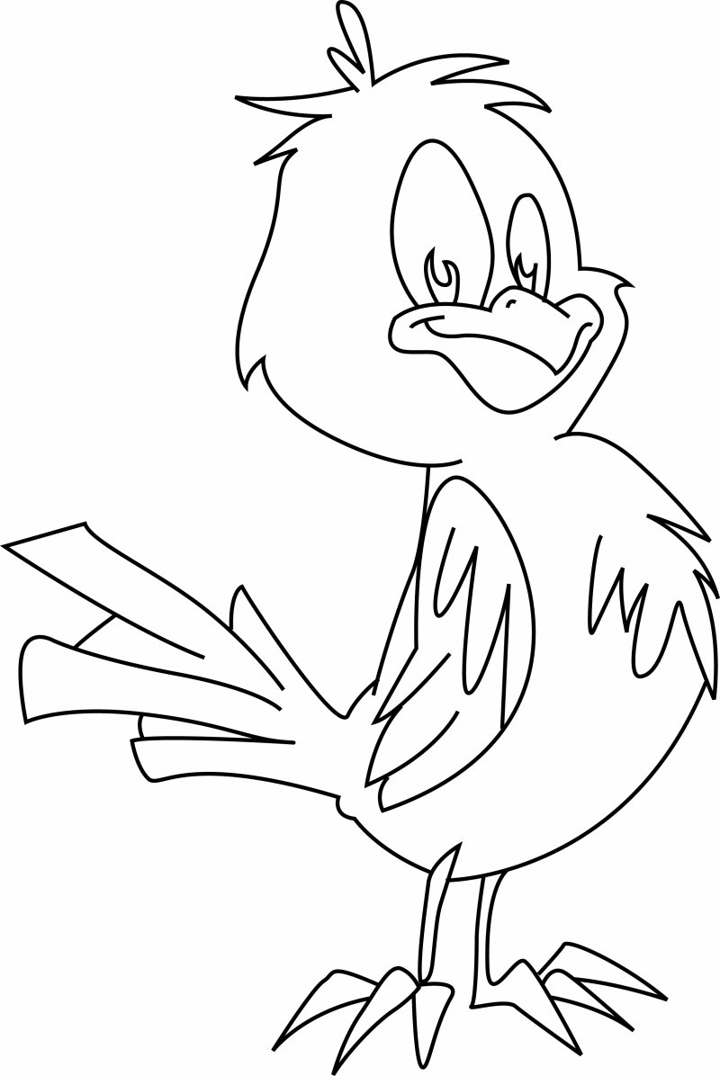 Oiseau 04 - motif à imprimer
