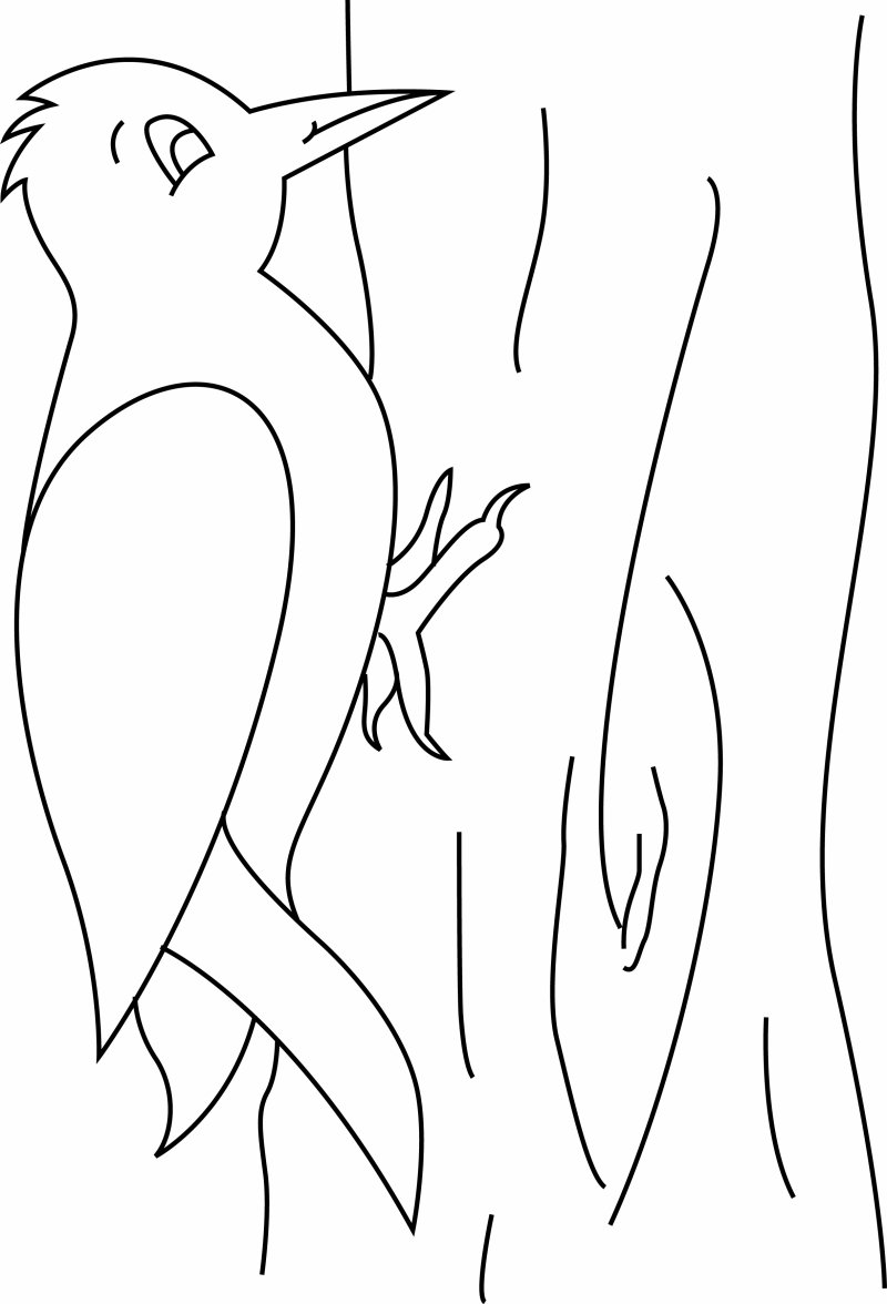 Oiseau 12 - motif à imprimer