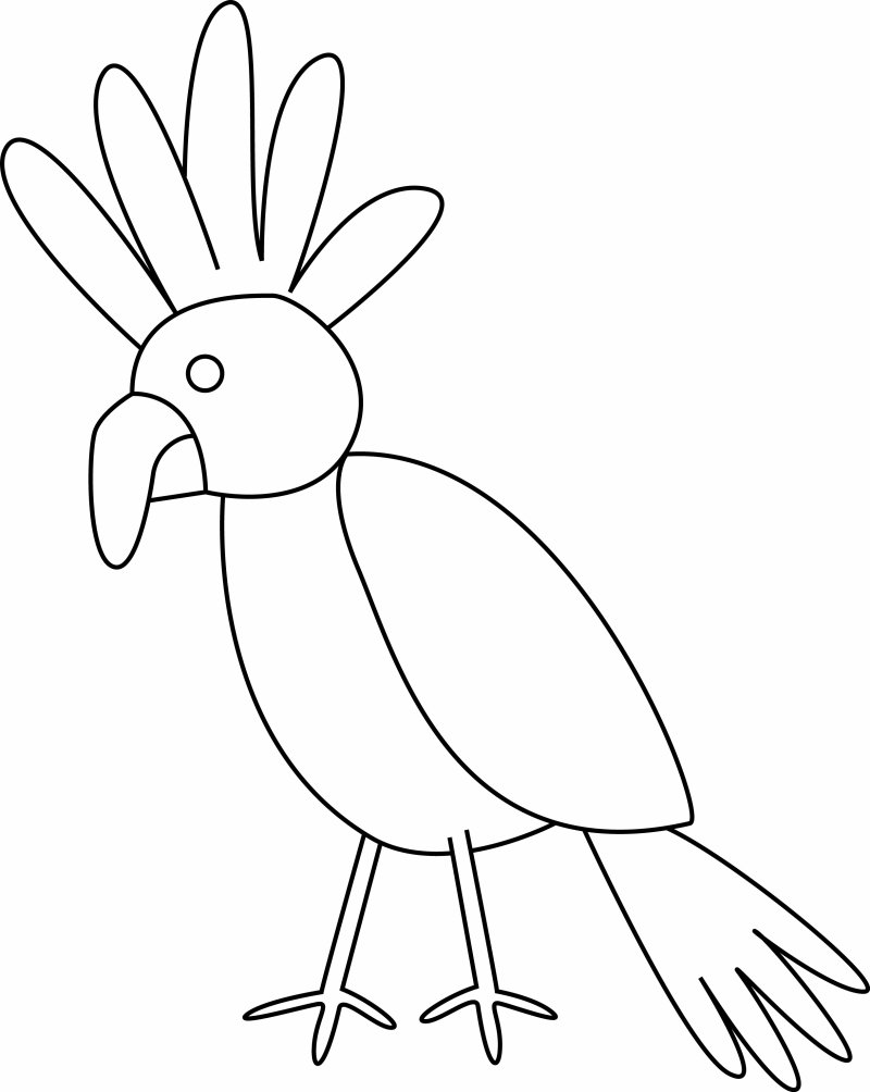 Oiseau 22 - motif à imprimer
