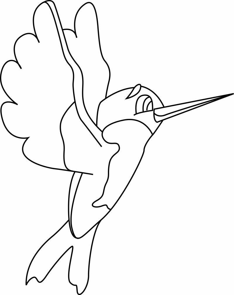 Oiseau 33 - motif à imprimer