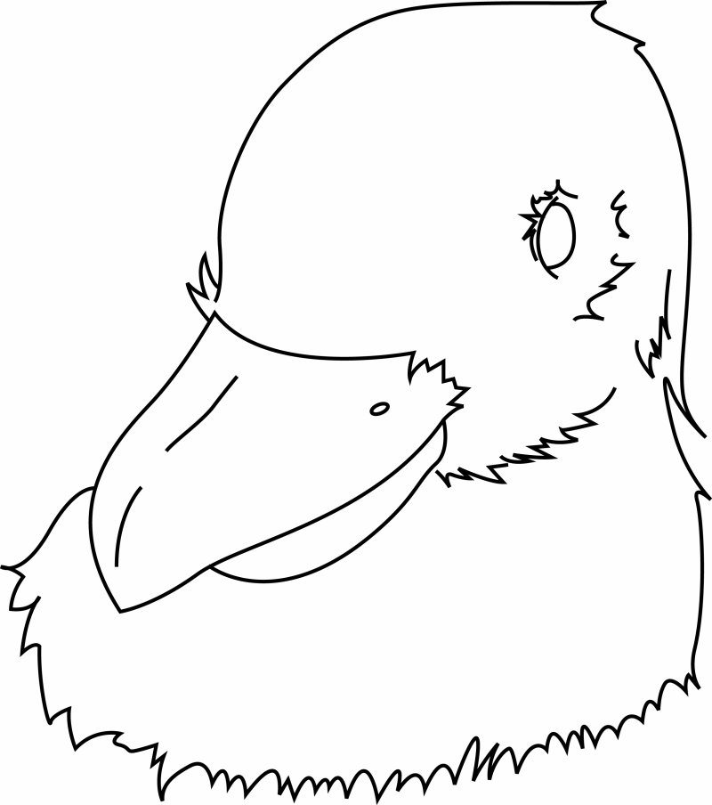 Oiseau 34 - motif à imprimer