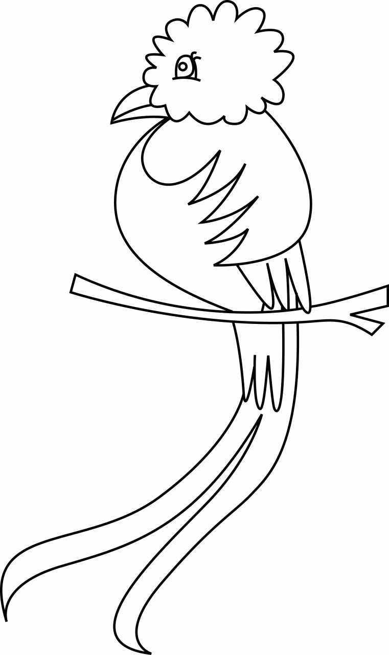 Oiseau 36 - motif à imprimer