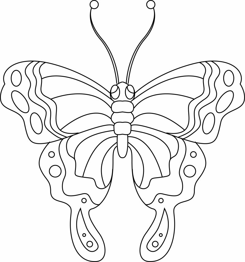 Papillon 02 - motif à imprimer