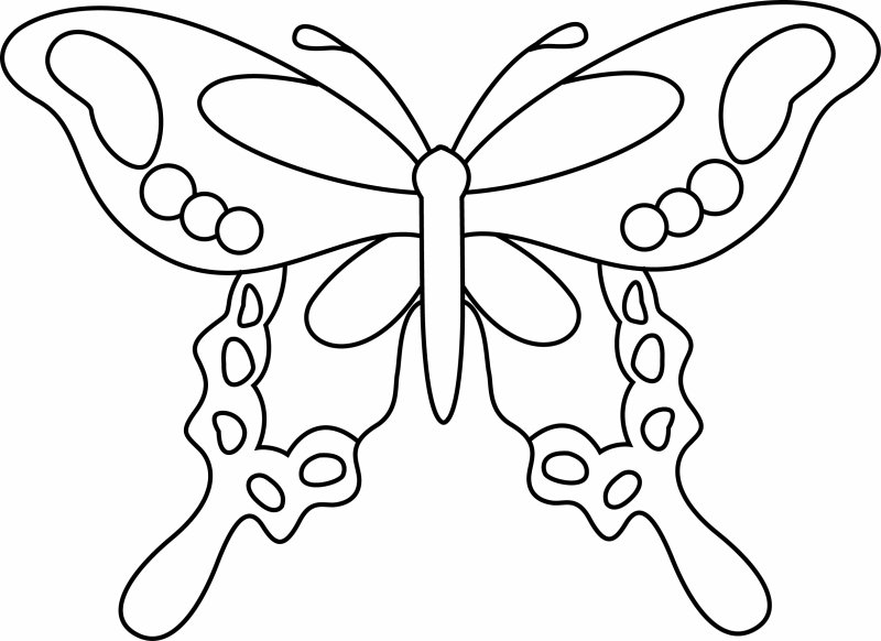 Papillon 14 - motif à imprimer