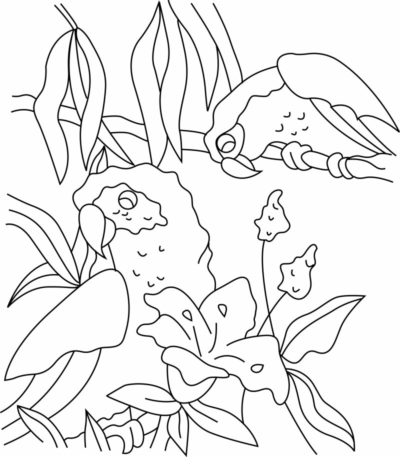 Perroquet 03 - motif à imprimer