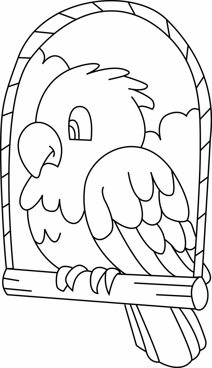 Perruche 03 - motif à imprimer