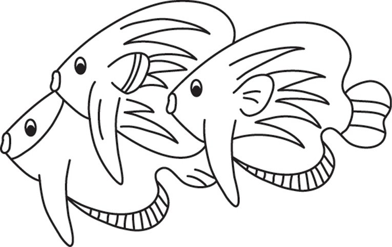 Poisson 25 - motif à imprimer