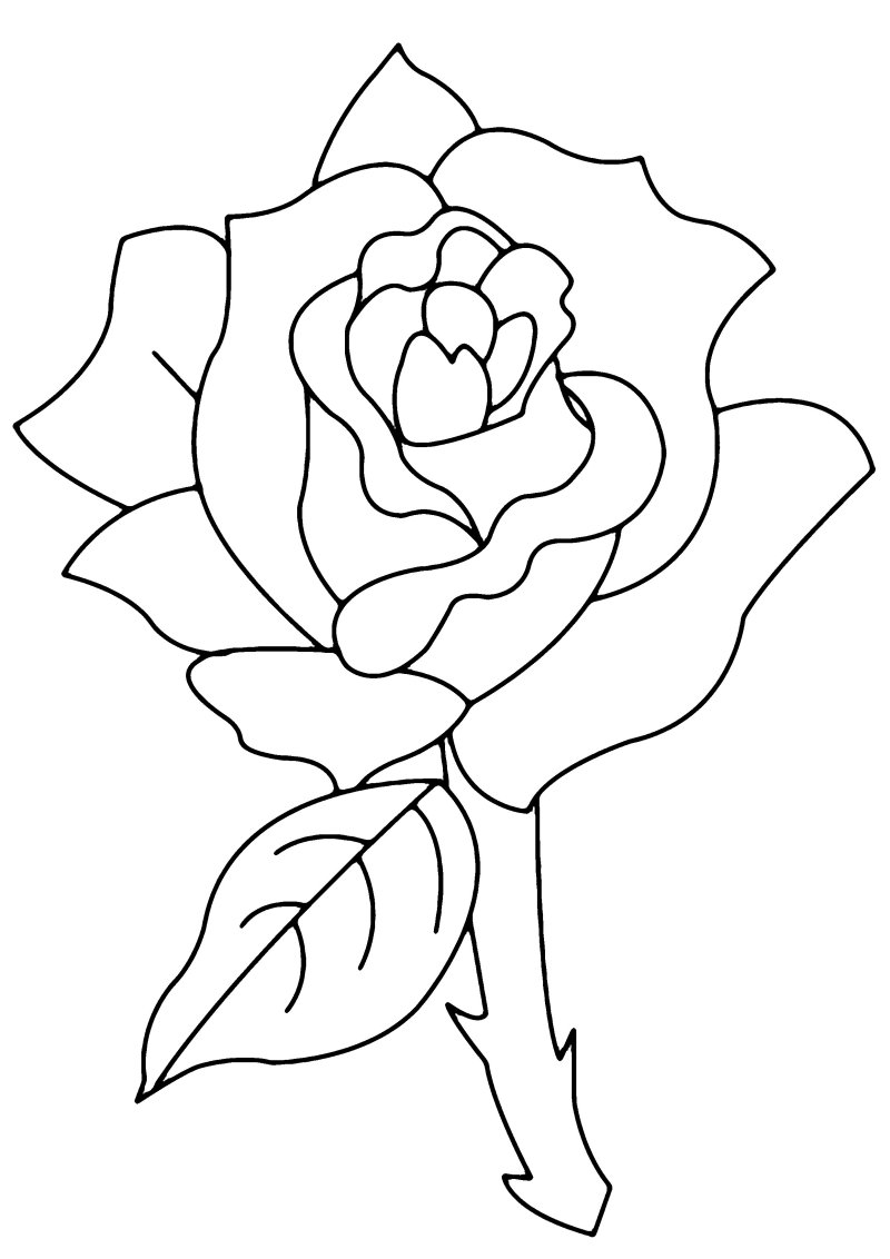 Rose 02 - motif à imprimer