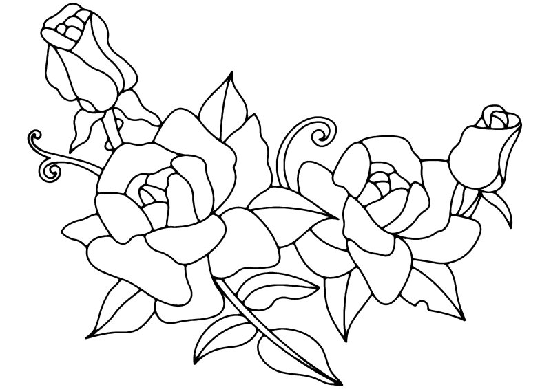 Roses 01 - motif à imprimer