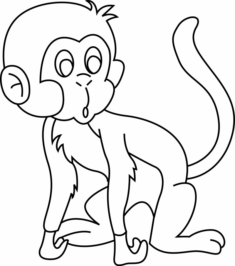 Singe 01 - motif à imprimer