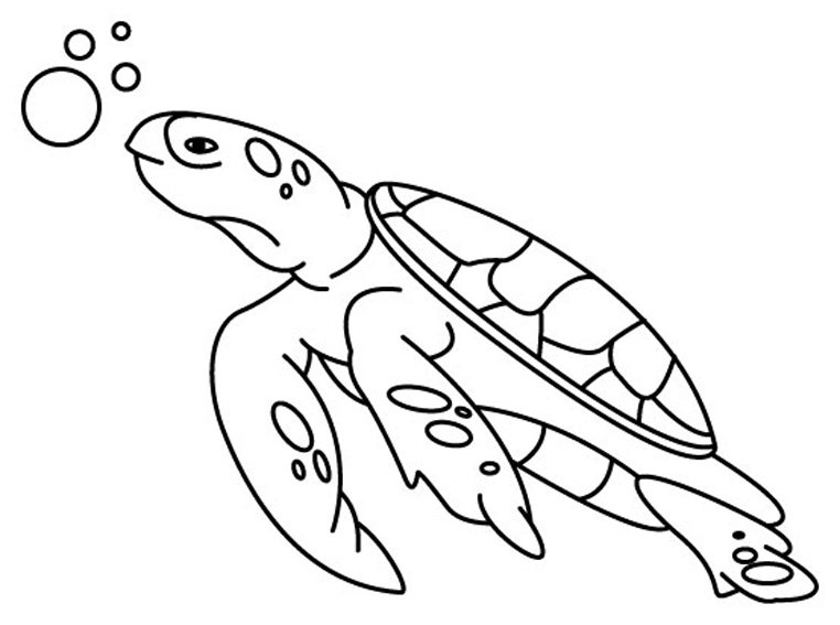 Tortue 01 - motif à imprimer