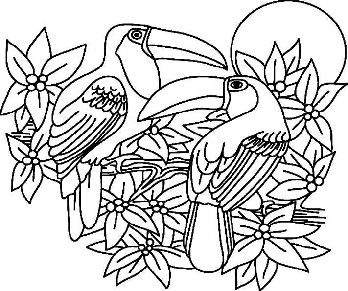 Toucan 02 - motif à imprimer