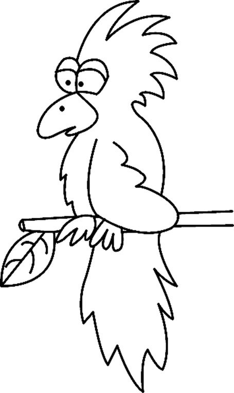 Toucan 04 - motif à imprimer