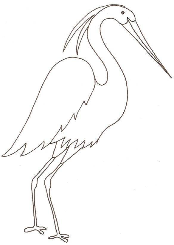 coloriage d'une aigrette 
