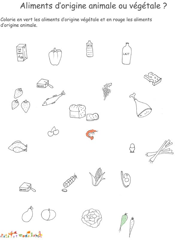 Activit&eacute; sur les aliments d'origine animale ou v&eacute;g&eacute;tale

