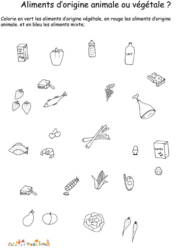 Imprimer fiche diff&eacute;rentes sortes d'aliments 
