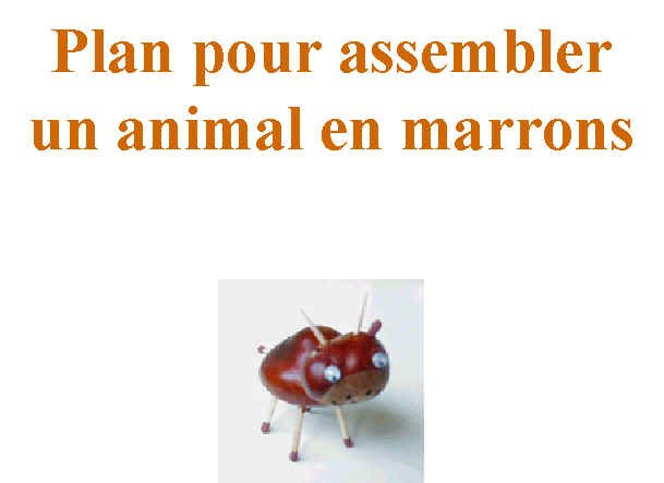Imprimer le plan de montage d'un animal en marrons couverture 
