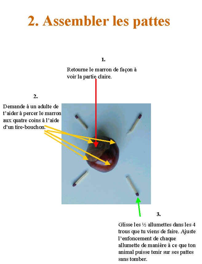 Imprimer le plan de montage d'un animal en marrons page 3
