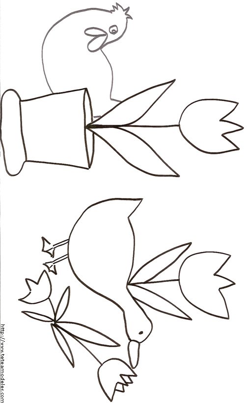 Coloriage des oies aux tulipes
