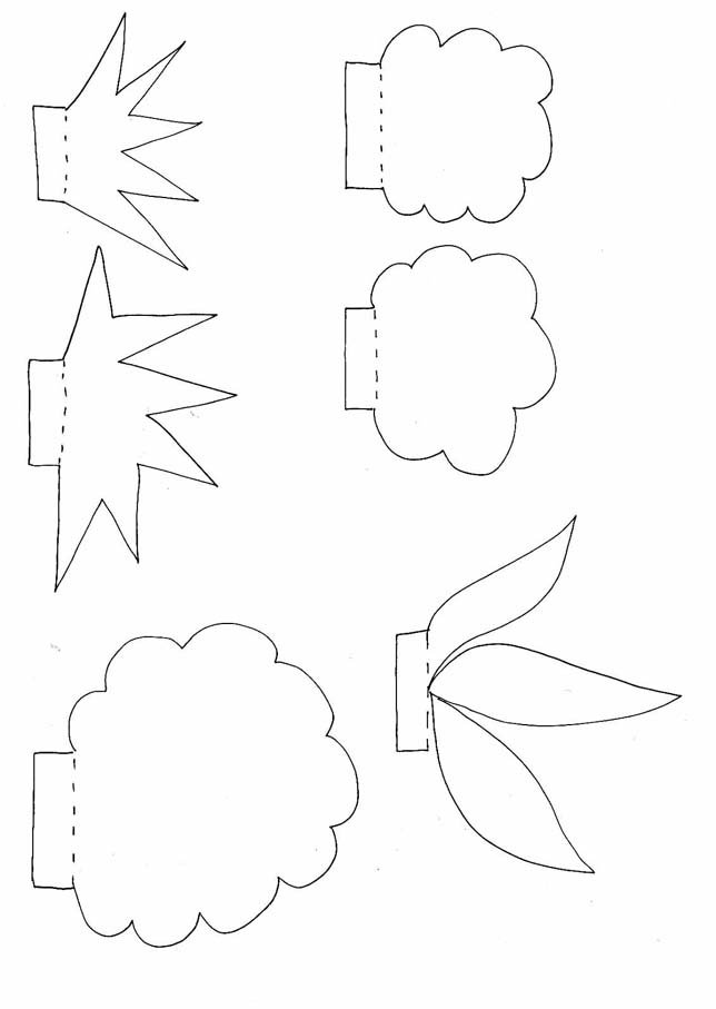 mod&egrave;les de plantes
