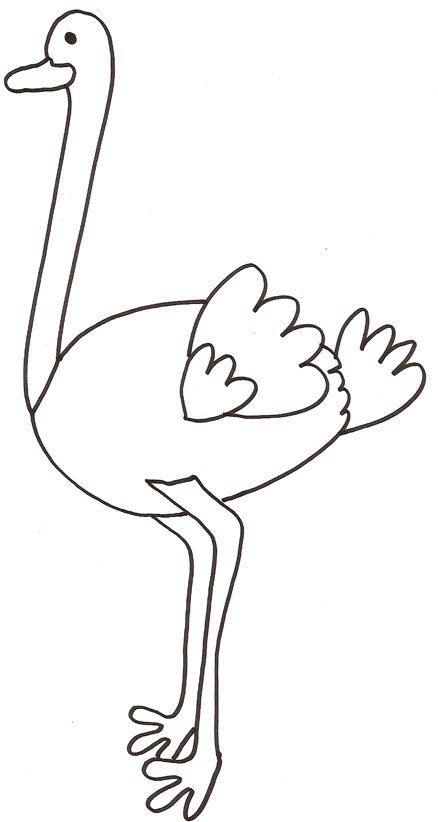 coloriage d'une autruche
