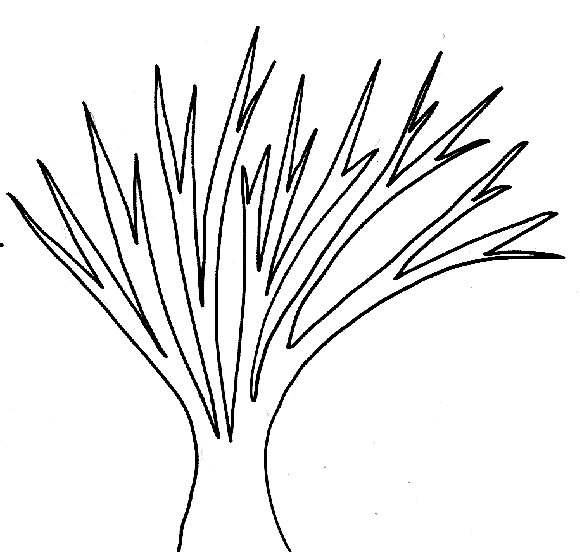 wpe10.jpg (44467 octets)
