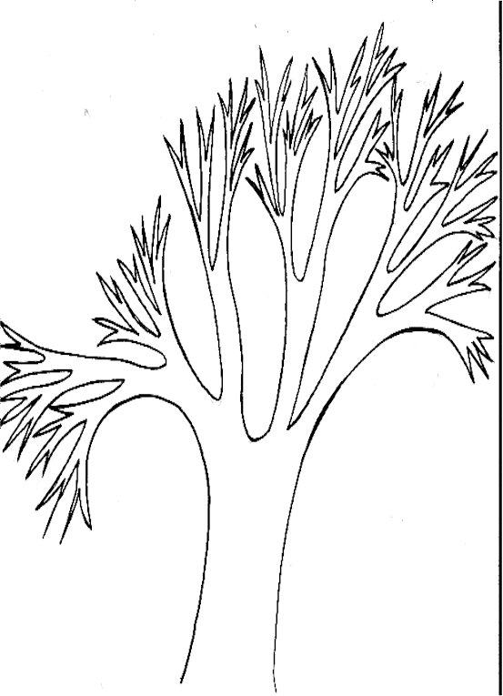 wpe10.jpg (44467 octets)
