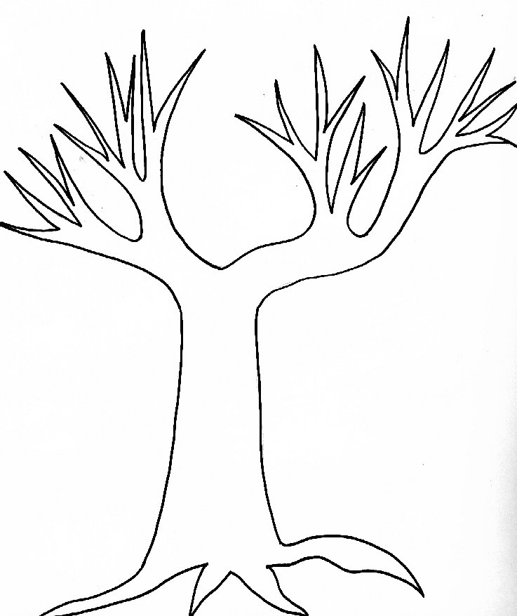 wpe10.jpg (44467 octets)

