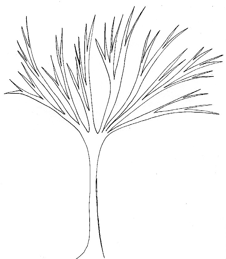 wpe10.jpg (44467 octets)
