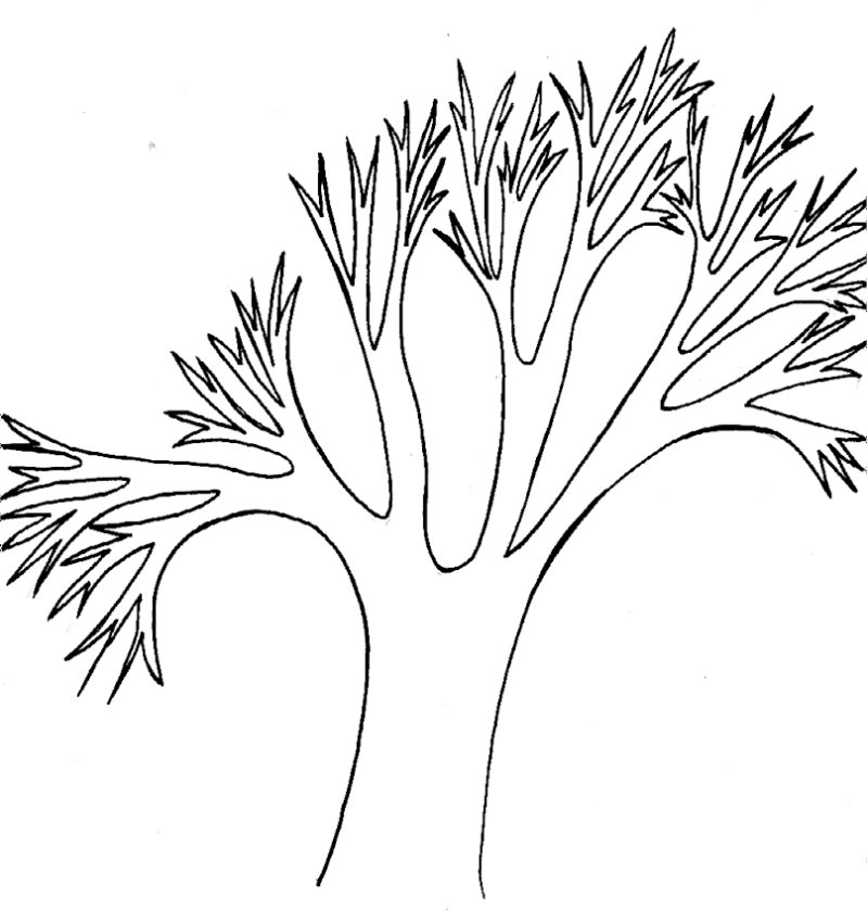 wpe10.jpg (44467 octets)
