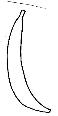 Imprimer le modèle de banane pour masque