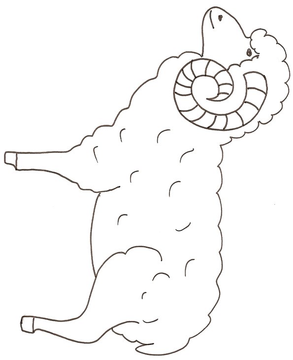 coloriage d'un belier
