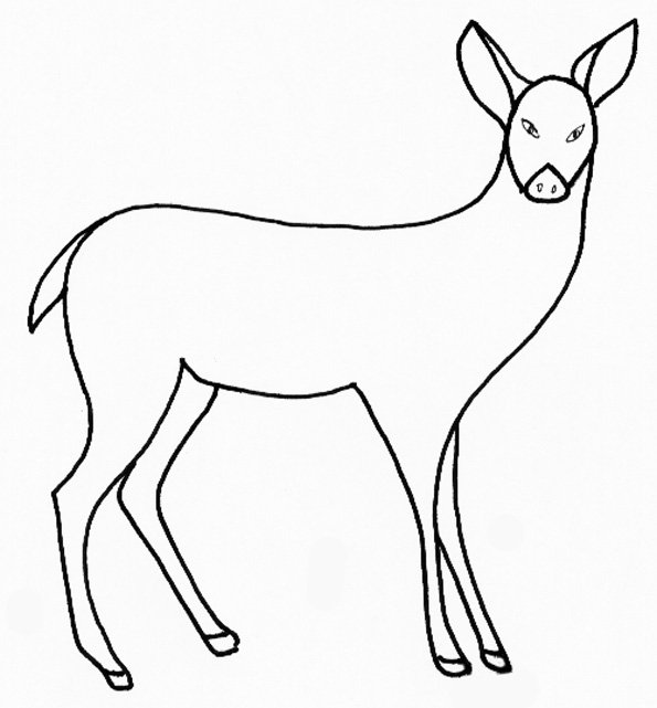 coloriage mammifère : la biche